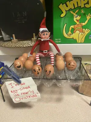 Elf gets 'egg-cited' (excited) for Christmas